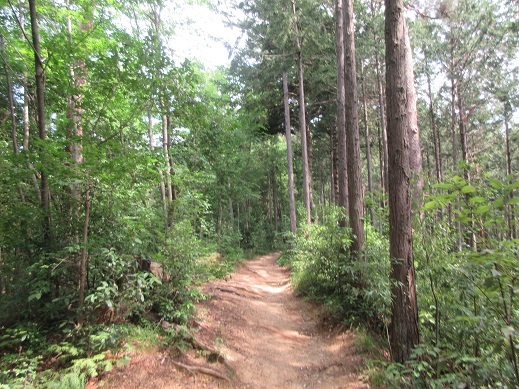 c0273271_10233019.jpg