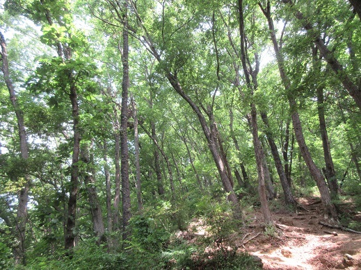 c0273271_10243359.jpg