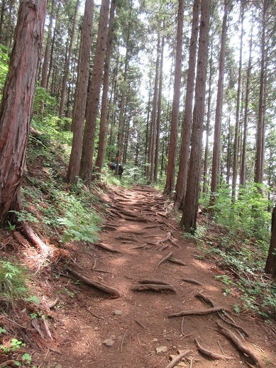 c0273271_10251225.jpg