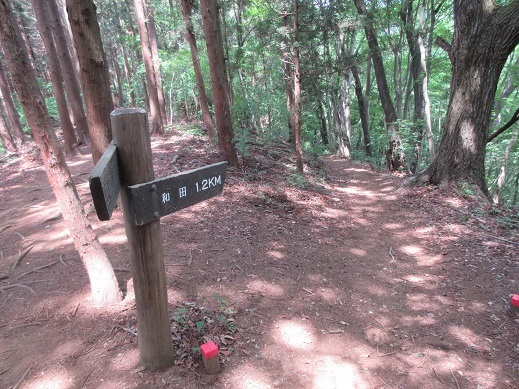 c0273271_10252775.jpg