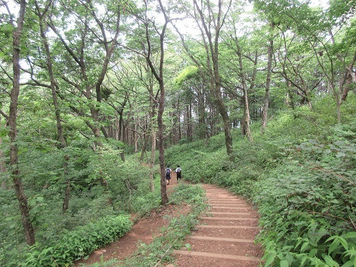 c0273271_10291365.jpg