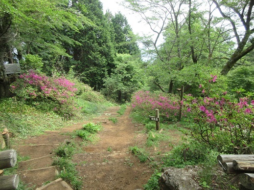 c0273271_10301444.jpg