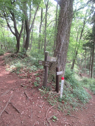 c0273271_10303513.jpg