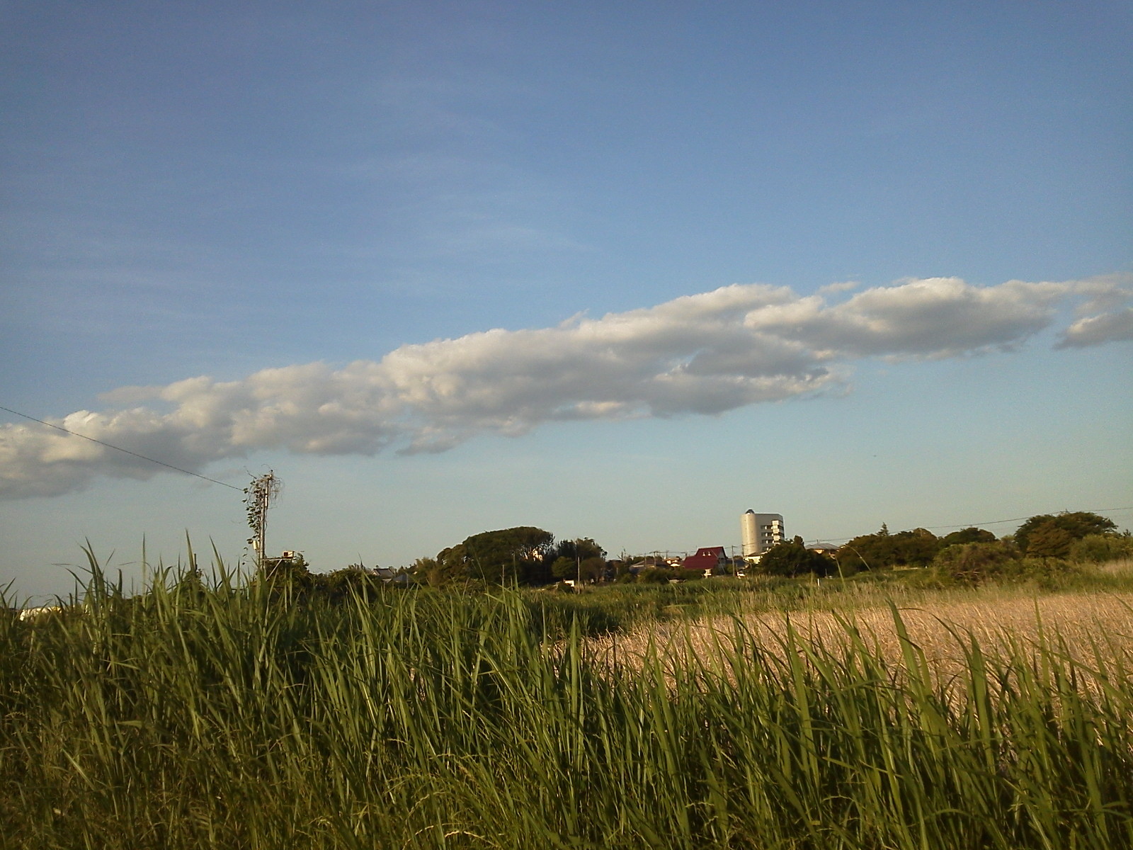 b0155973_12092314.jpg