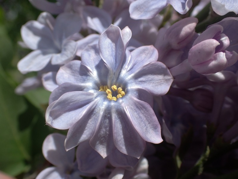 c0183777_5354372.jpg