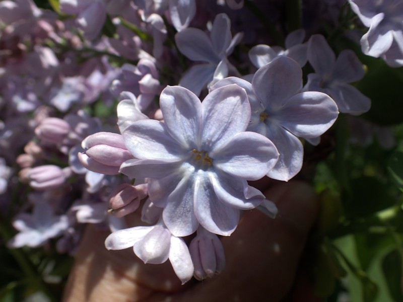 c0183777_5462846.jpg