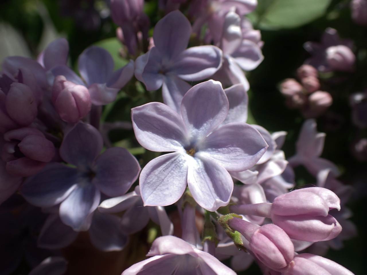 c0183777_6464941.jpg