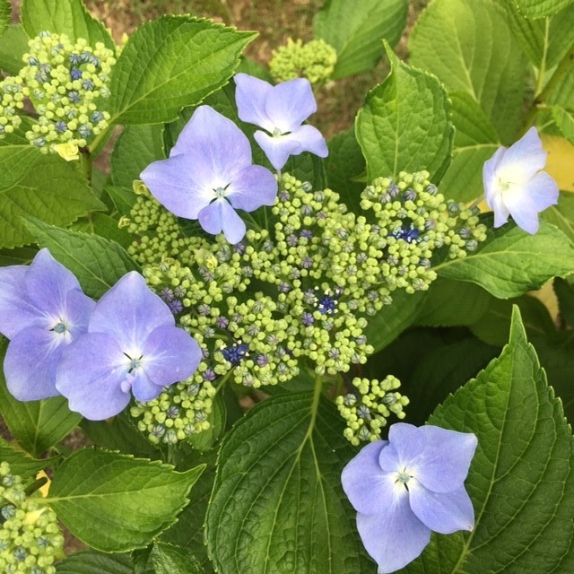 c0344679_18520245.jpg