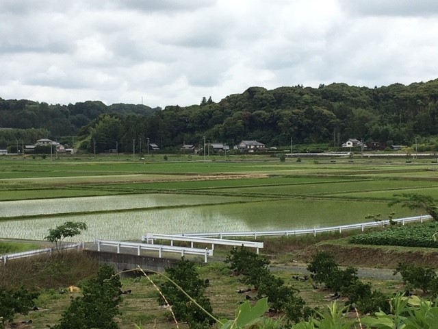 c0344679_18564676.jpg