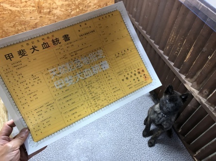 6/5 店長日記_e0173381_18105273.jpg