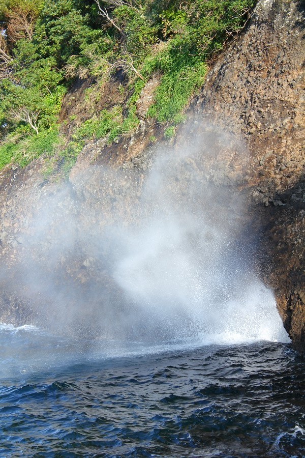 e0374581_19323494.jpg