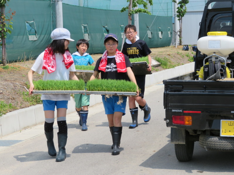 新しいことも_e0359282_18365220.jpg