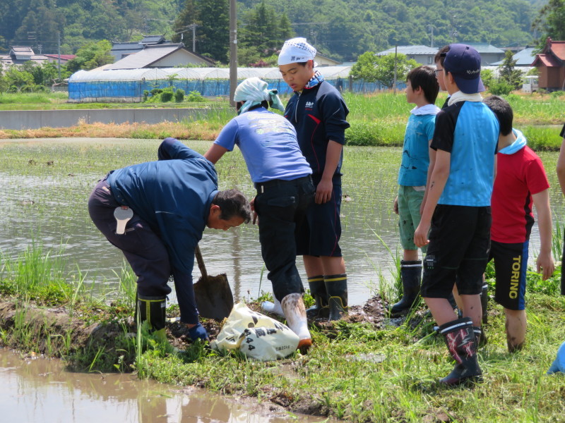 新しいことも_e0359282_18365802.jpg