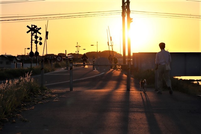 藤田八束の地方創生@夕日の綺麗な街松山、夕日の美しい故郷愛媛県、「出会い橋」で愛媛の素晴らしい情景に会いました・・・伊予電は素敵!!_d0181492_15212987.jpg