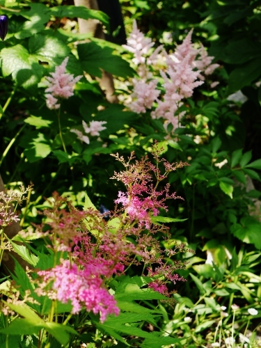 e0167795_13371030.jpg