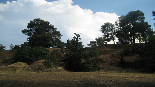 c0010496_16491307.jpg