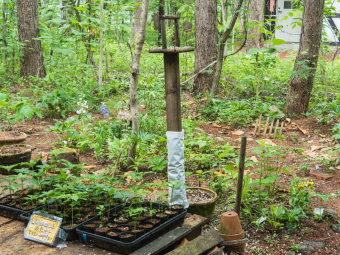 f0276498_23053488.jpg