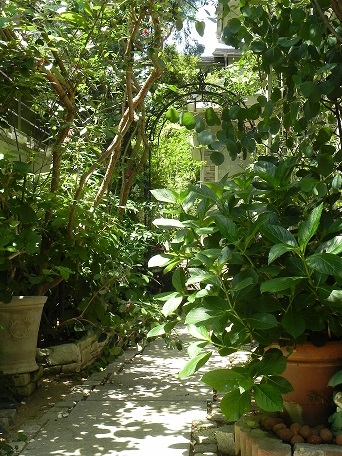 c0152002_20473177.jpg