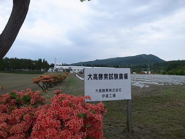 f0197703_15415489.jpg