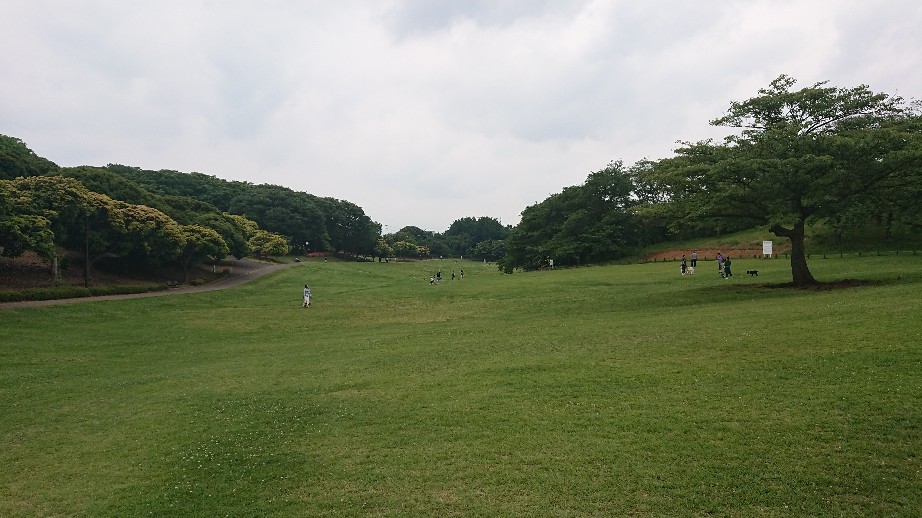 6/2 根岸森林公園 @横浜_b0042308_08013731.jpg