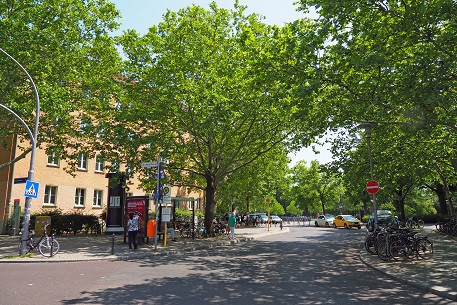 a0151913_84629100.jpg