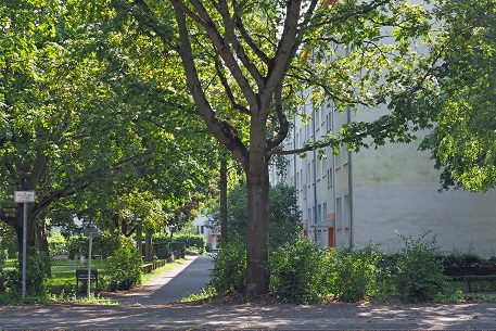 a0151913_9491148.jpg
