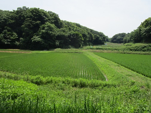 b0275715_23295647.jpg