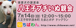 6/11引き出し編・レポート紹介　全　３６頭_f0078320_20531074.jpg