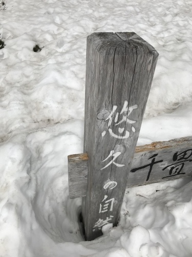 f0309325_09542836.jpeg