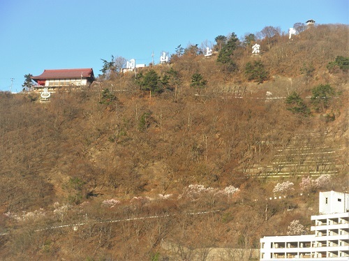 a0202528_00260035.jpg