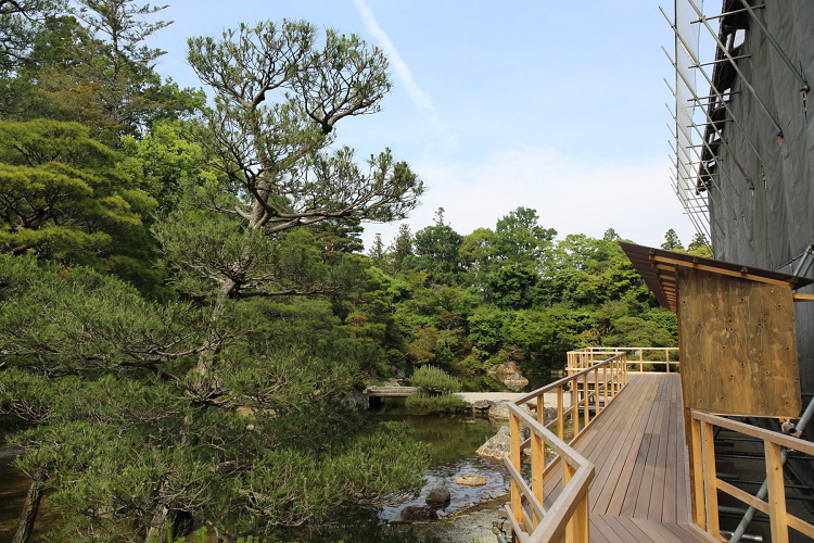 深緑の京都2019 －御室仁和寺（御殿内 北庭・南庭 特別拝観）－ _b0169330_7301293.jpg