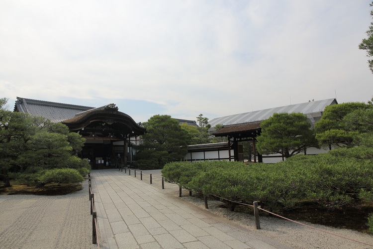 深緑の京都2019 －御室仁和寺（御殿内 北庭・南庭 特別拝観）－ _b0169330_732358.jpg