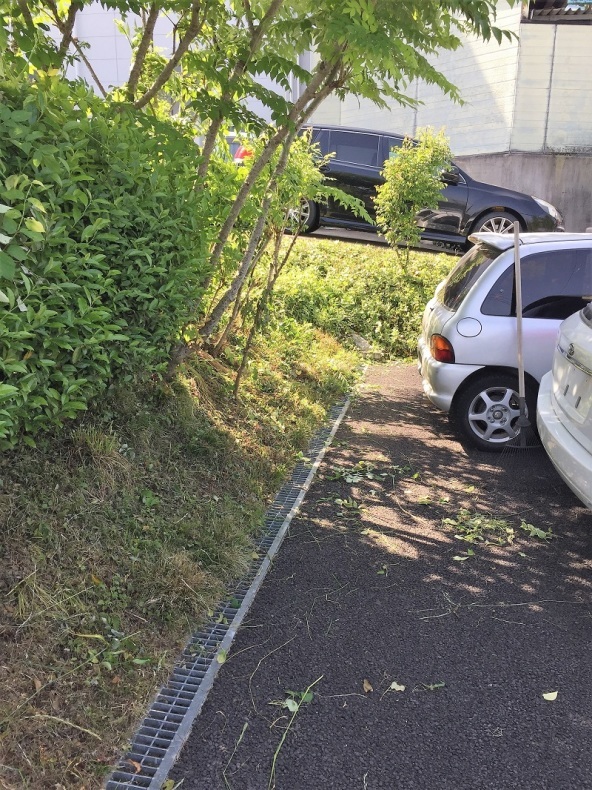 ラミリオンを振り返る_f0076731_15551656.jpg