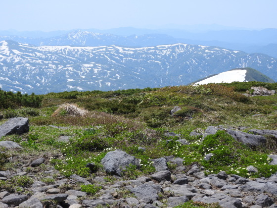f0118332_23245799.jpg