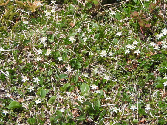 f0118332_23254780.jpg