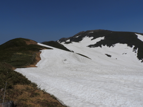 f0118332_23262195.jpg