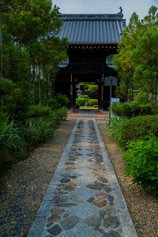 新緑の源光庵_e0363038_10322754.jpg