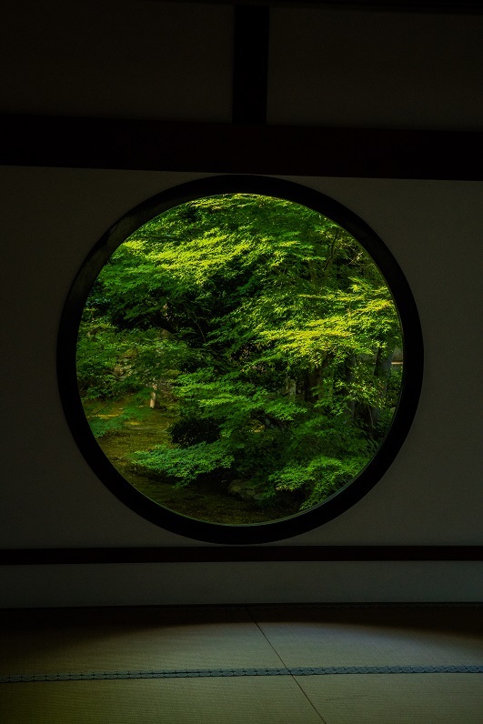 新緑の源光庵_e0363038_10324833.jpg