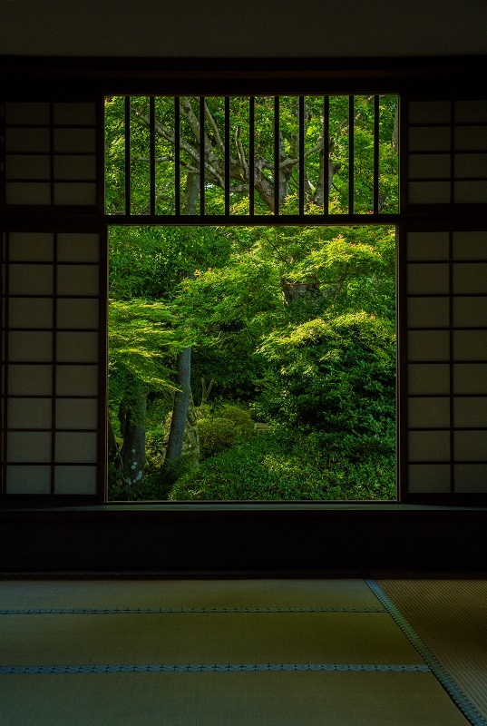 新緑の源光庵_e0363038_10325260.jpg