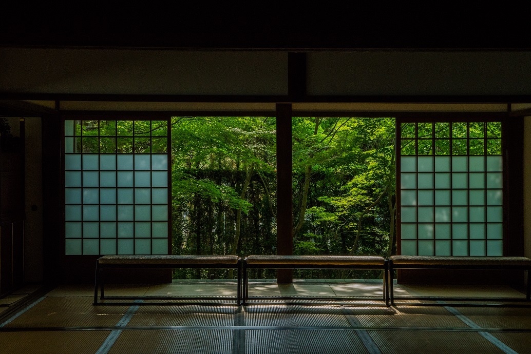 新緑の源光庵_e0363038_10325506.jpg