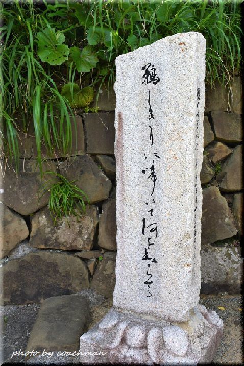 a0315942_21352751.jpg