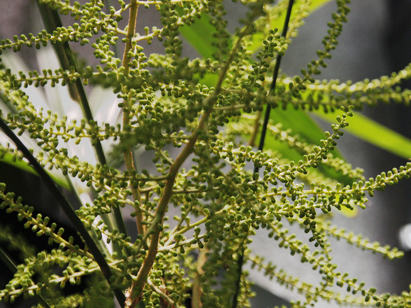 d0322448_19324187.jpg