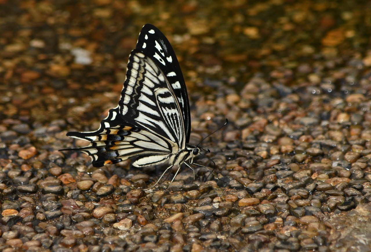 c0233349_13373749.jpg