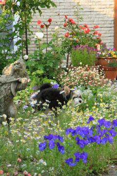 c0145250_08354569.gif