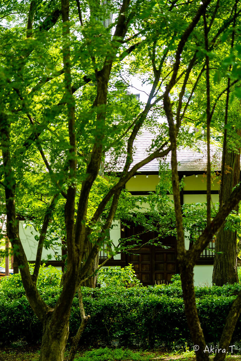 f0152550_22081087.jpg
