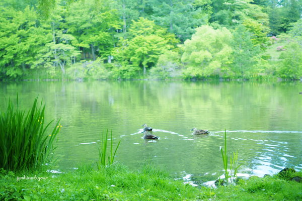 静かな湖畔で_e0268051_23333110.jpg