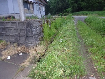 d0074063_07391322.jpg