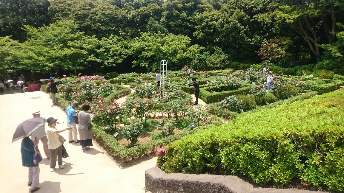 f0222164_20100541.jpg
