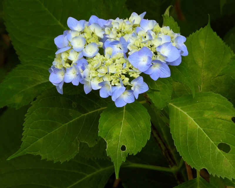 c0305565_17512370.jpg