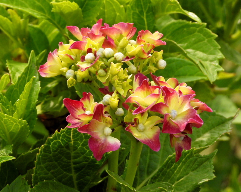 c0305565_17514929.jpg